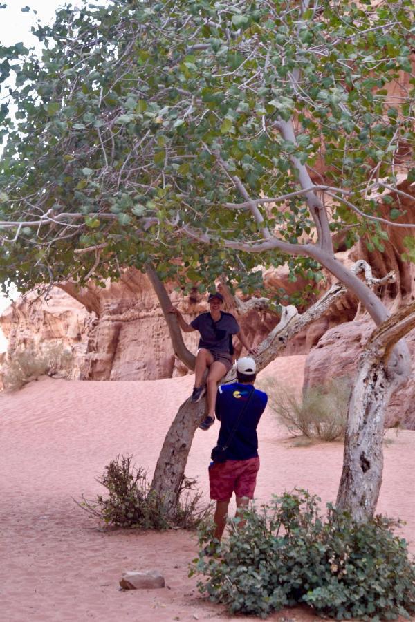 Nature Star Camp Hotel Wadi Rum Exterior photo